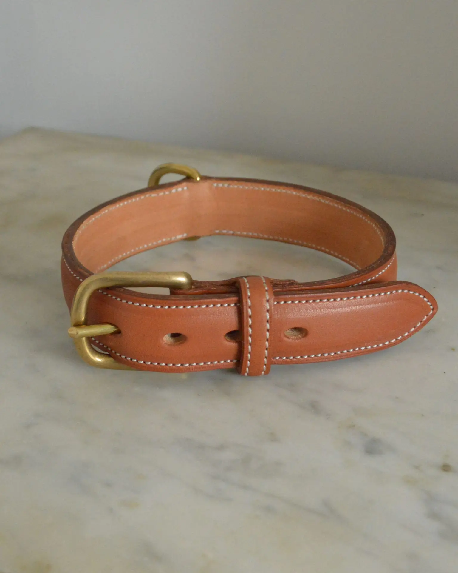 Collier de chien